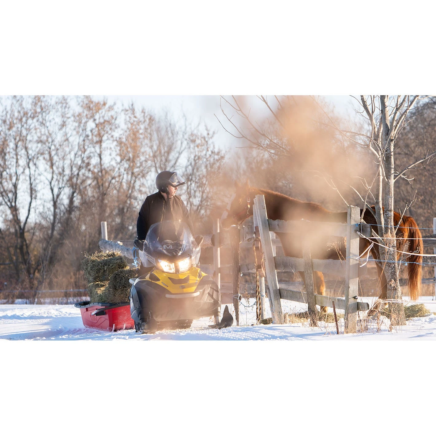 Trek Sport 94 Utility Sled With Runners. Tow Hitch & Travel Cover 3 Trek Sport 94 Utility Sled With Runners. Tow Hitch & Travel Cover - Image 3