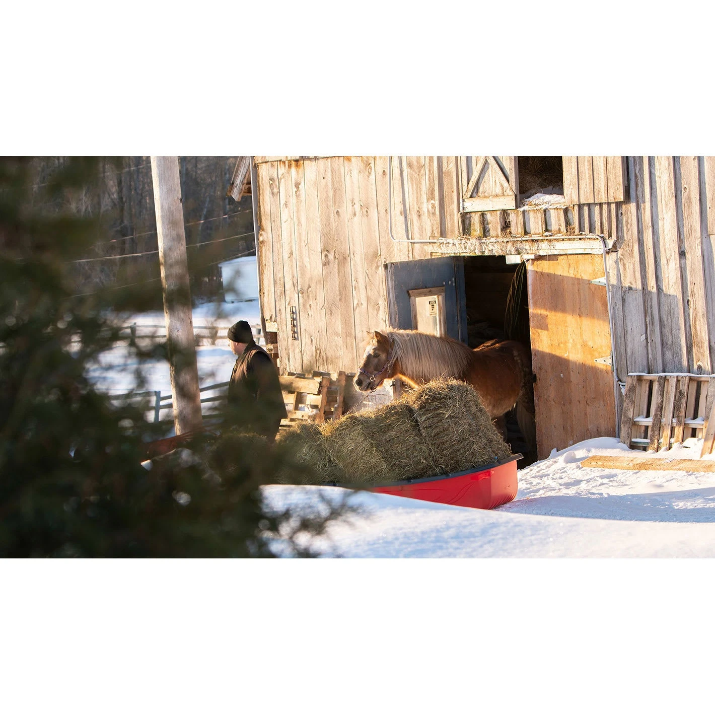 Trek Sport 94 Utility Sled With Runners. Tow Hitch & Travel Cover 2 Trek Sport 94 Utility Sled With Runners. Tow Hitch & Travel Cover - Image 2